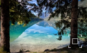 Plansee
