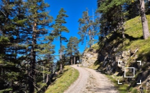 Konstant aufwärts am Thörlenweg