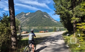 Plansee